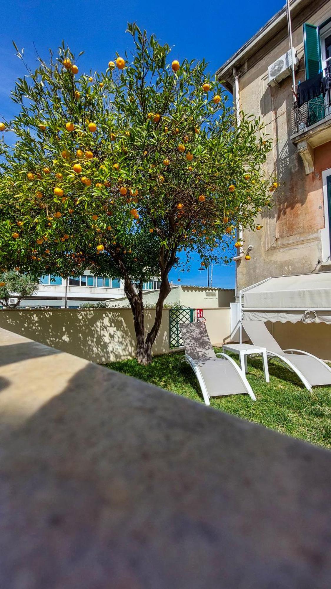 Malu Best Rooms - Tropea Eksteriør billede